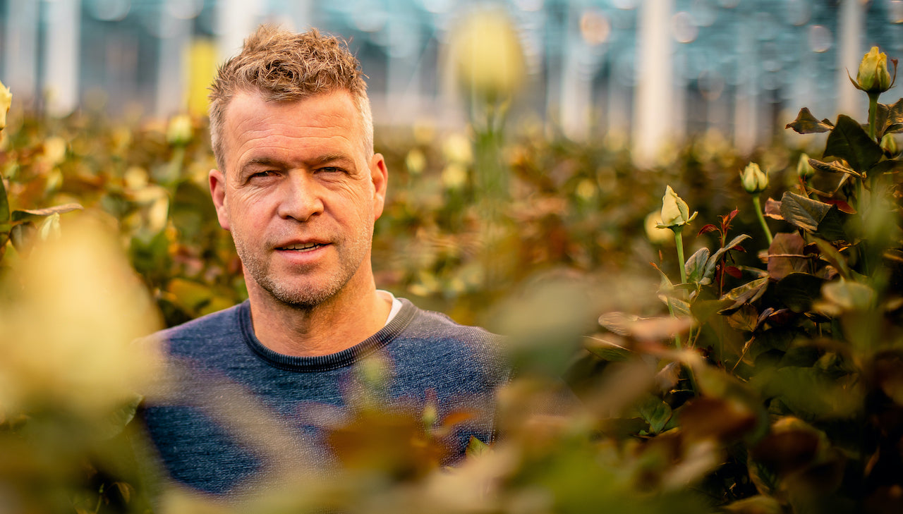 Luxerozen is een samenwerking aangegaan met Berg Roses