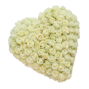 Hart Platinum White