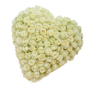 Hart Platinum White